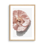 Elegant Pink Flower Canvas Art Prints