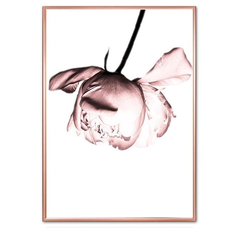 Dusty Pink Roses Canvas Prints-Heart N' Soul Home-30x40 cm no frame-B-Heart N' Soul Home