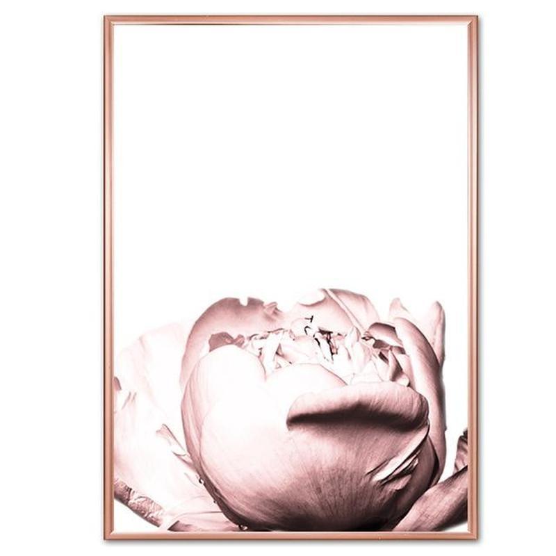 Dusty Pink Roses Canvas Prints-Heart N' Soul Home-40x60 cm no frame-C-Heart N' Soul Home