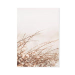In The Breeze Bohemian Style Canvas Prints-Heart N' Soul Home-50x70 cm no frame-Pampas Grass-Heart N' Soul Home