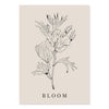 Flower Bloom And Patone Color Canvas Art Prints