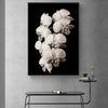 Beauty In The Darkness Black And White Flowers B Canvas Prints