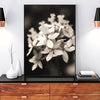 Beauty In The Darkness Black And White Flowers C Canvas Prints
