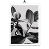 Black and White Monstera Leaves And Quotes Canvas Art Prints