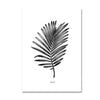 Nordic Palm Leaves Plants Dreams Quote Canvas Art Prints