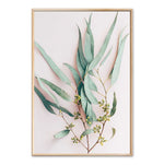Leaves, Protea And Parrot Canvas Art Prints