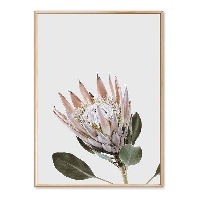 Leaves, Protea And Parrot Canvas Art Prints