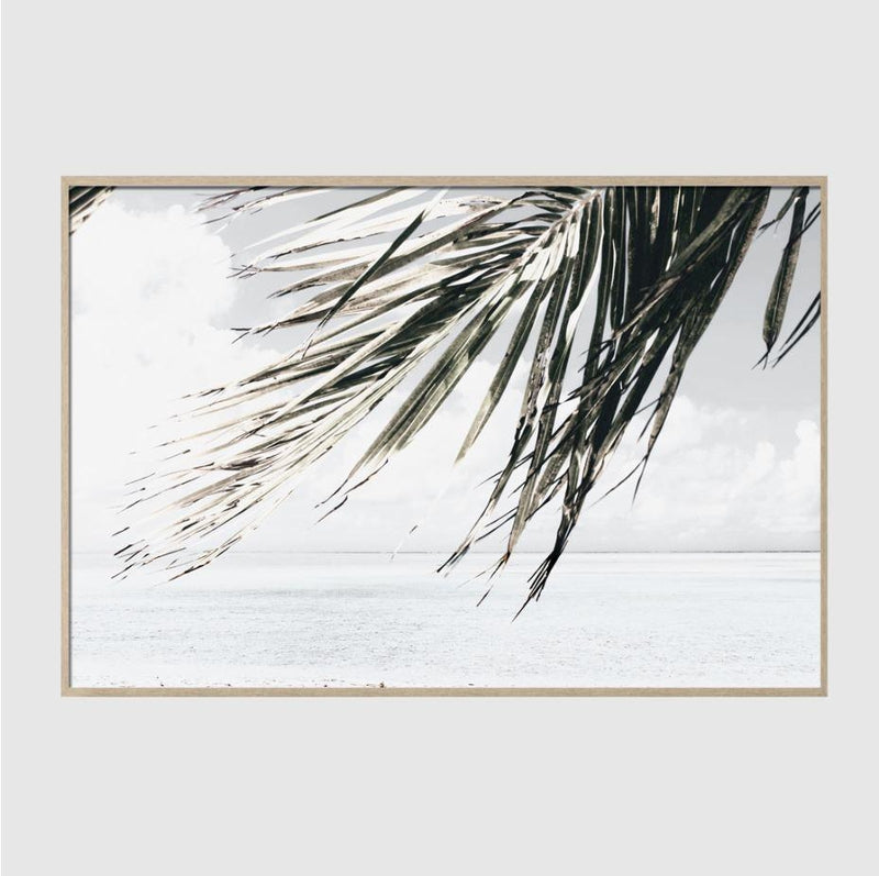 Green Coconut Tree Leaves Under White Sky Art Print-Heart N' Soul Home