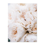 Blush Peonies And All Your Need Is Love Canvas Prints-Heart N' Soul Home-50x70cm no frame-Peonies-Heart N' Soul Home