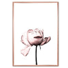 Dusty Pink Roses Canvas Prints-Heart N' Soul Home-13x18 cm no frame-A-Heart N' Soul Home