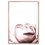 Dusty Pink Roses Canvas Prints-Heart N' Soul Home-40x60 cm no frame-C-Heart N' Soul Home