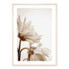 Flowers And Ballerina Canvas Prints-Heart N' Soul Home-13x18 cm no frame-Picture A-Heart N' Soul Home