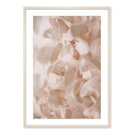 Flowers And Ballerina Canvas Prints-Heart N' Soul Home-13x18 cm no frame-Picture B-Heart N' Soul Home
