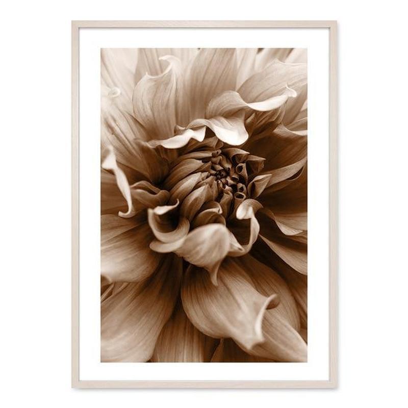 Flowers And Ballerina Canvas Prints-Heart N' Soul Home-13x18 cm no frame-Picture D-Heart N' Soul Home