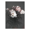 Flowers And Beauty Canvas Prints-Heart N' Soul Home-60x80 cm no frame-White And Dusty Pink Flowers-Heart N' Soul Home