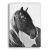 Nordic Black And White Wild Horse Canvas Print-Heart N' Soul Home-10x15 cm no frame-Heart N' Soul Home