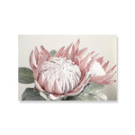 Pink King Protea Series Design C Canvas Prints-Heart N' Soul Home-30x40 cm no frame-Heart N' Soul Home