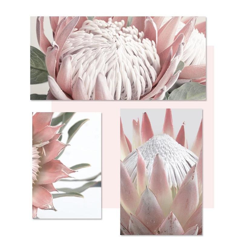 Pink King Protea Series Design C Canvas Prints-Heart N' Soul Home-Heart N' Soul Home