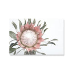 Pink King Protea Series Design D Canvas Prints-Heart N' Soul Home-A4 21x30 cm no frame-Heart N' Soul Home