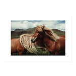 Desert And Horses Canvas Prints-Heart N' Soul Home