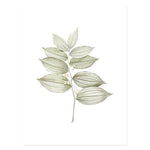Elegant Botanical Leaves Art Prints-Heart N' Soul Home