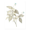 Elegant Botanical Leaves Art Prints-Heart N' Soul Home