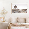 Desert Tree And Bright Sunlight Canvas Prints-Heart N' Soul Home