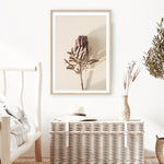 Bohemian Dried Protea And Leaves Canvas Print