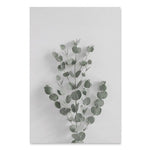 Scandinavian Style Eucalyptus Leaves Canvas Prints-Heart N' Soul Home-Heart N' Soul Home